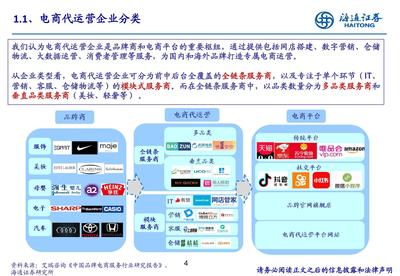 電商行業電商代運營企業深度報告 從一站式管家到品牌伯樂